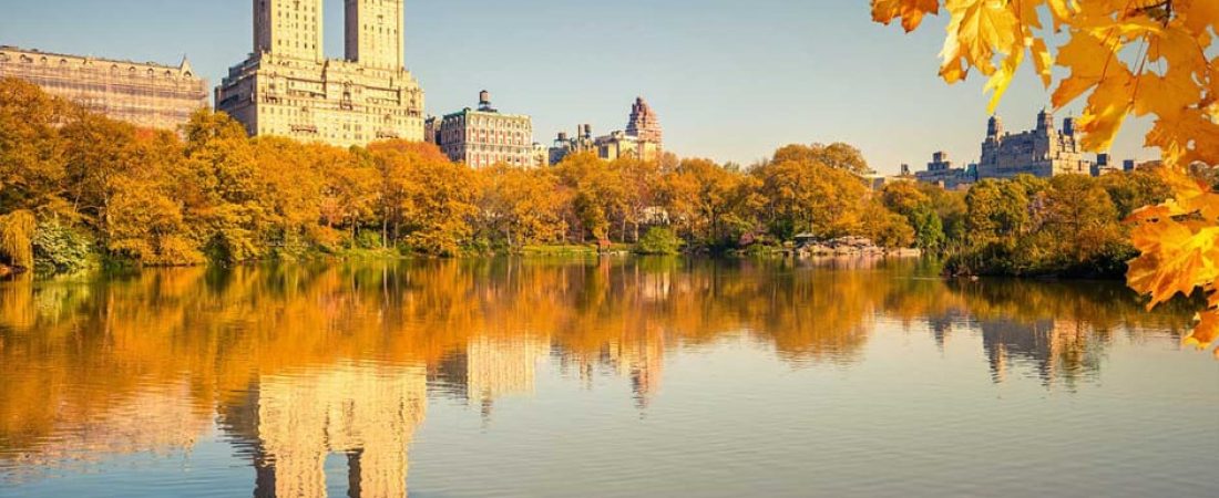 La oficina de turismo de Nueva York busca voluntarios para encontrar los mejores colores del otoño en la zona