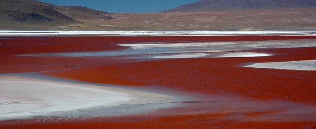 Laguna-Colorada-Bolivia2