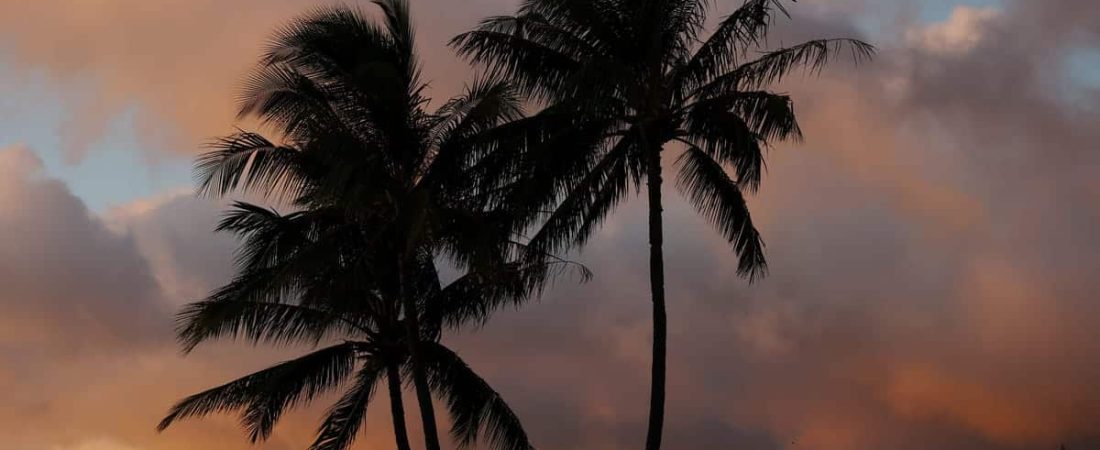 Los-8-mejores-destinos-de-spring-break-para-disfrutar-en-familia-intriper.jpg