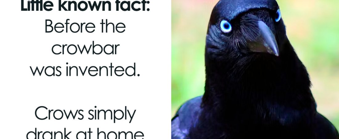 Los-80-momentos-animales-mas-divertidos-y-vergonzosos-del-dia-intriper.jpg
