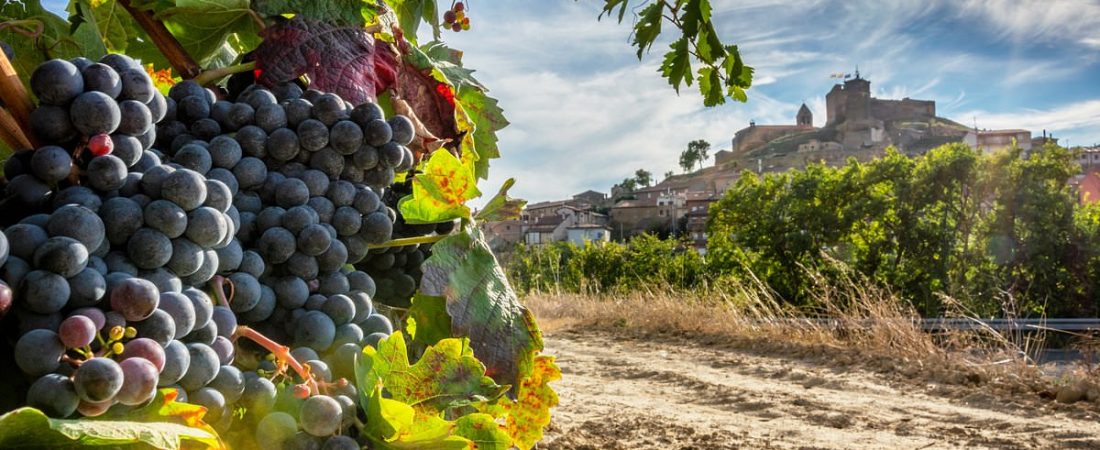 Los-mejores-vinedos-de-Europa-que-debes-descubrir-este-ano-intriper.jpg