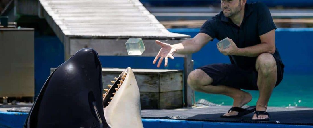 MIA_Lolita_Training_MJO_11