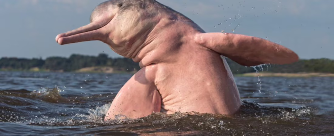 MPODQUTGKVGQRJKL5Q3FZ4YBW4