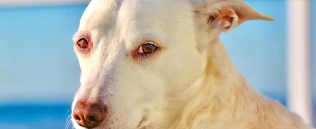 MQZ3F5JAFZFU3H5Y62KQPEVRBA