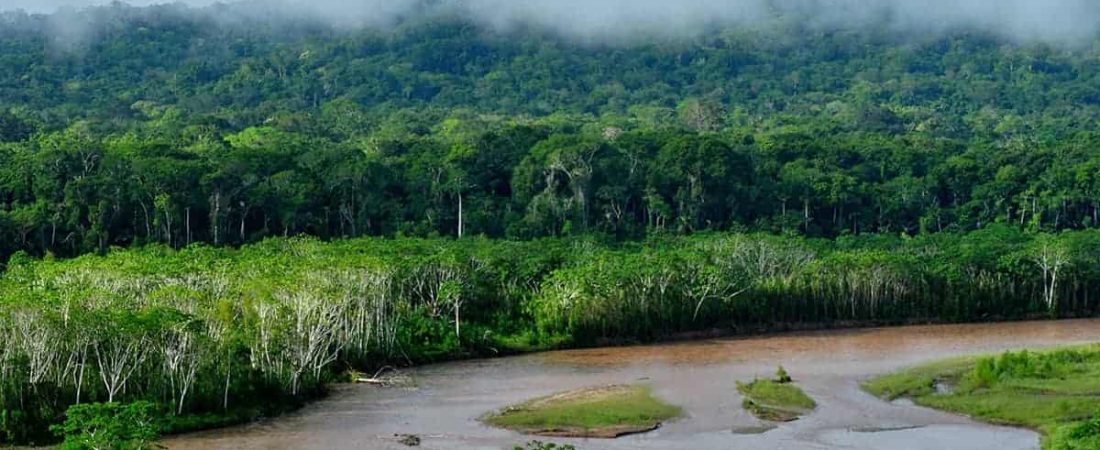 amazonas