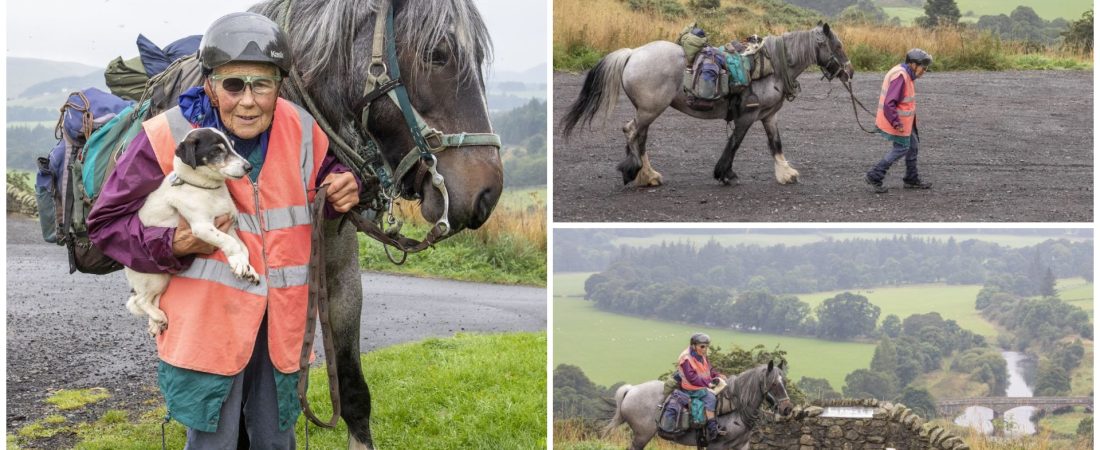 Mujer de 82 años completa un viaje de 1000 km desde Inglaterra a Escocia en su pony (lo hace todos los años desde 1972)