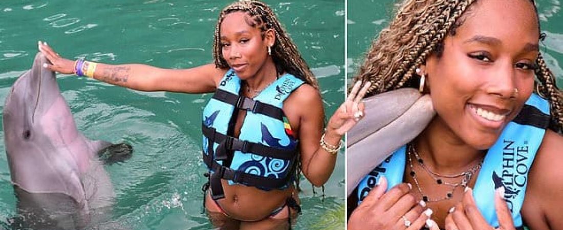 Mujer-de-Tennessee-sufre-traumatismo-grave-en-inesperado-ataque-de-delfin-intriper.jpg