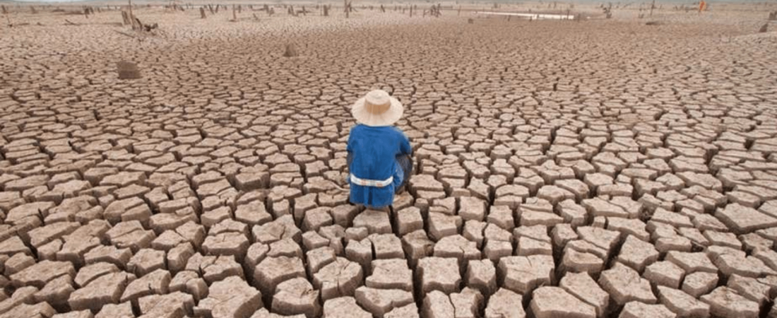 Negligencia política y medio ambiente la emergencia climática no es solo un tema