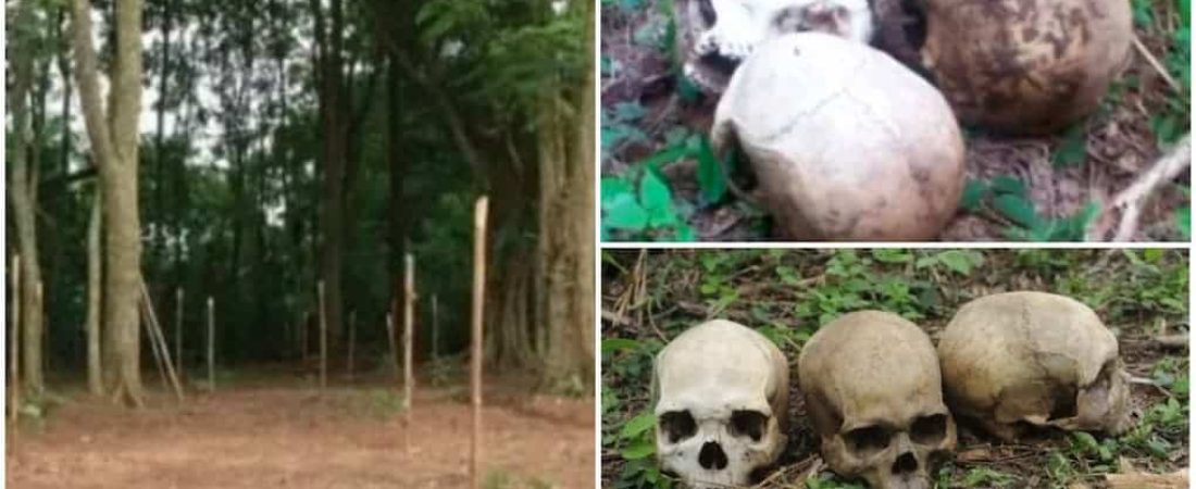 Nigeria Forest of Horror