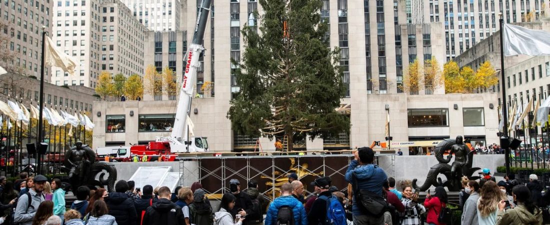 Nueva York El árbol de Navidad del Rockefeller Center se iluminará el 30 de noviembre en una transmisión en vivo