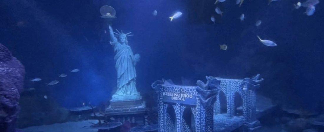 Nueva York inauguró 'SEA LIFE Aquarium de Nueva Jersey', un nuevo e insólito acuario que recrea a la ciudad bajo el agua-2