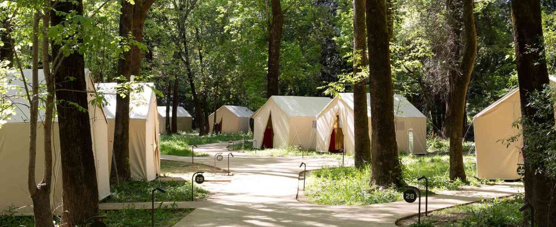 Nuevo-resort-en-California-con-glamping-de-lujo-entre-secuoyas-intriper.jpg