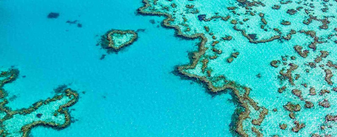 Nuevo-vuelo-conecta-America-del-Norte-con-la-Gran-Barrera-de-Coral-intriper.jpg