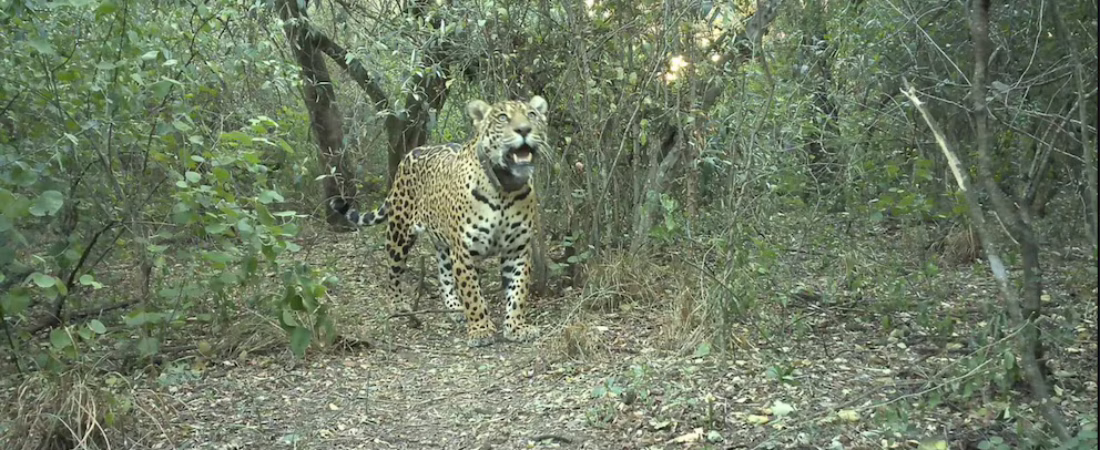 O4OJEFMWQZFAPGS72NXAWWDEQU