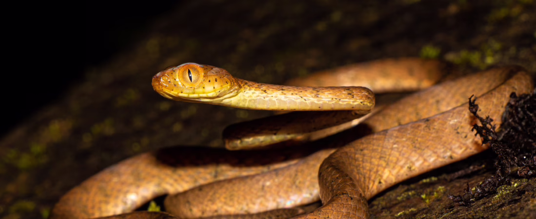 O6TPK3ZNYZGCPMWW76ZQ2OUCGA