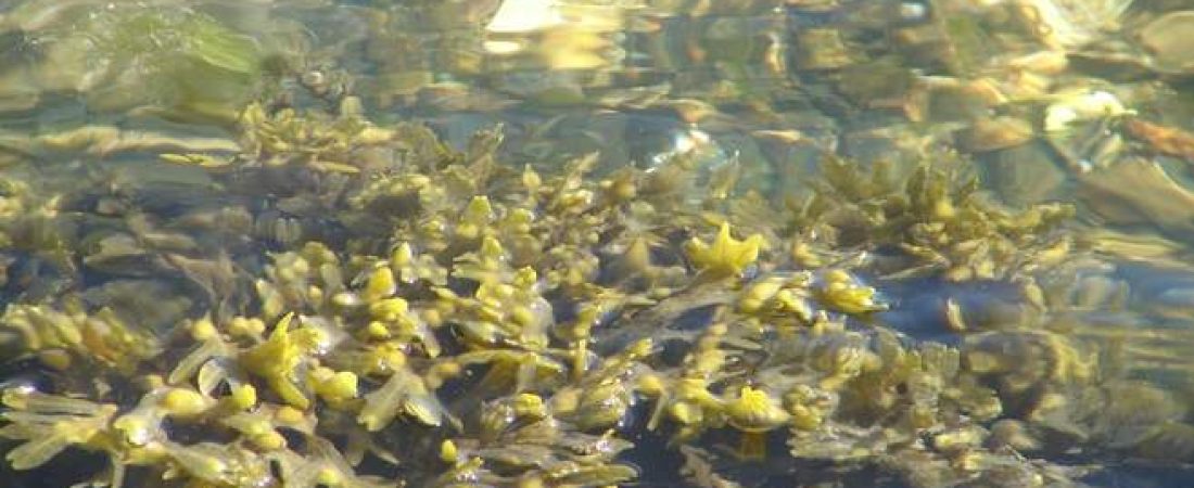 OFBKBRMJKRHZNJBVT46XBXJJI4