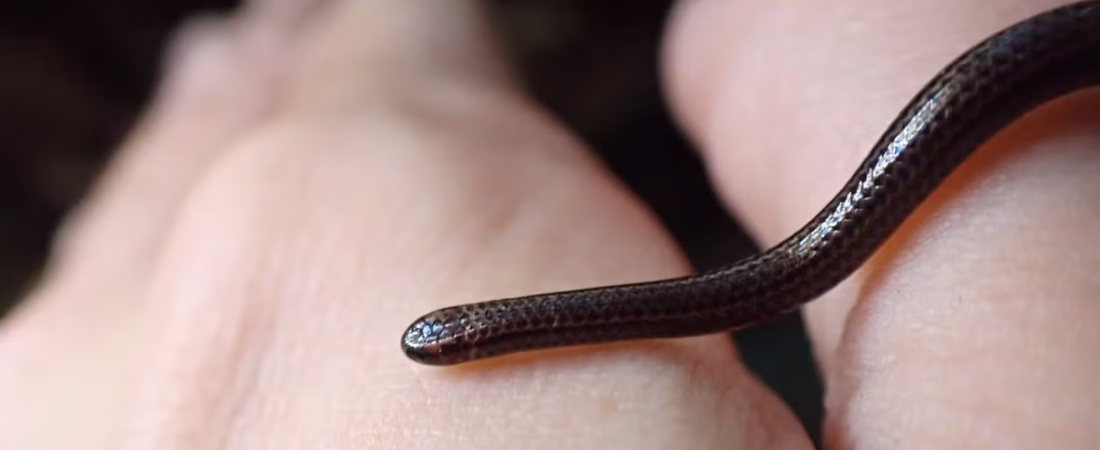 OM3LQDEY3BERPHHWYN7VPCZOKM