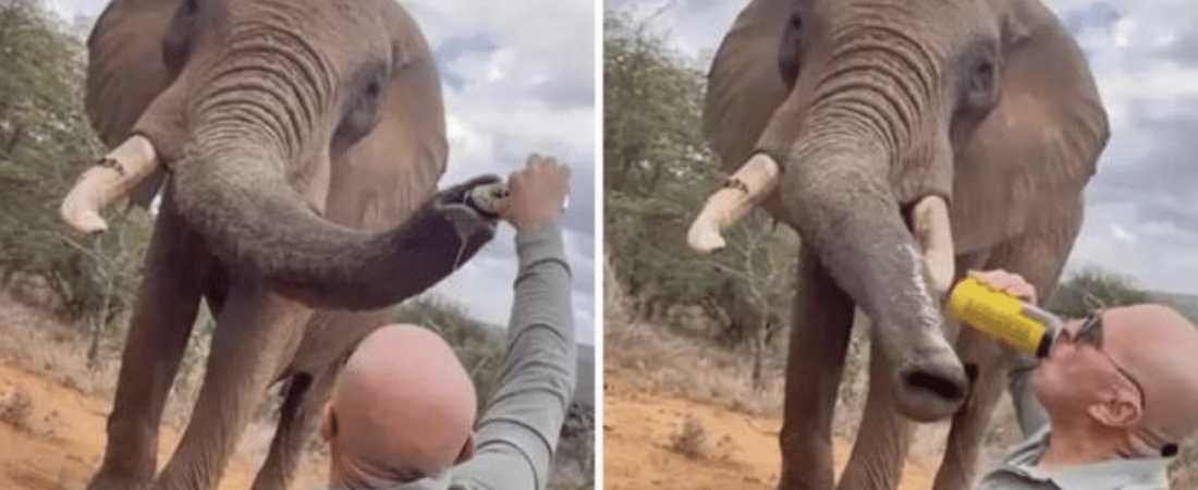 OOXCZAZF35FPBNEQBXUO4F3ZNA