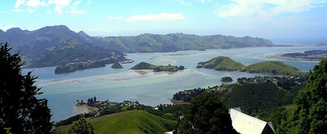 Otago Harbour, Dunedin, New Zealand