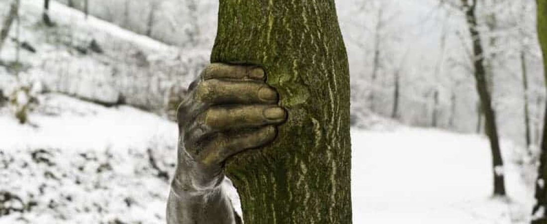 Giuseppe Penone