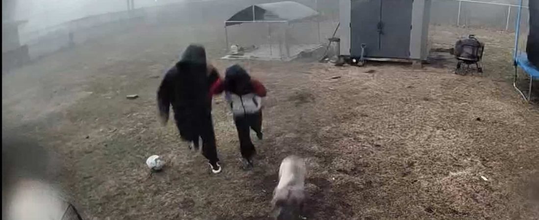 Padre-e-hijo-salvan-a-su-perro-instantes-antes-de-un-tornado-intriper.jpg