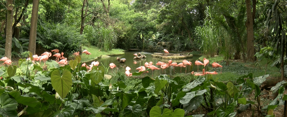 Parque-de-la-conservacion-Medellín-1