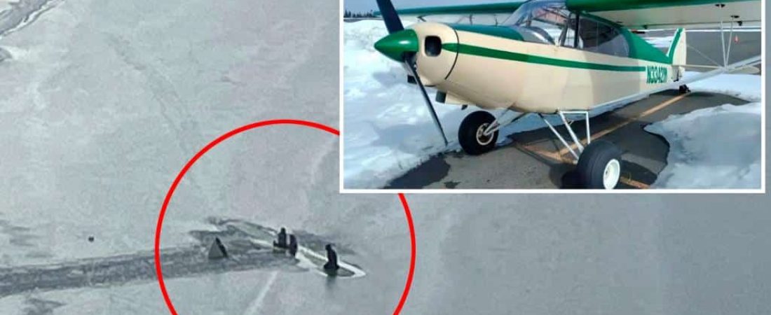 Piloto-y-dos-ninas-sobreviven-milagrosamente-a-un-accidente-aereo-intriper.jpg