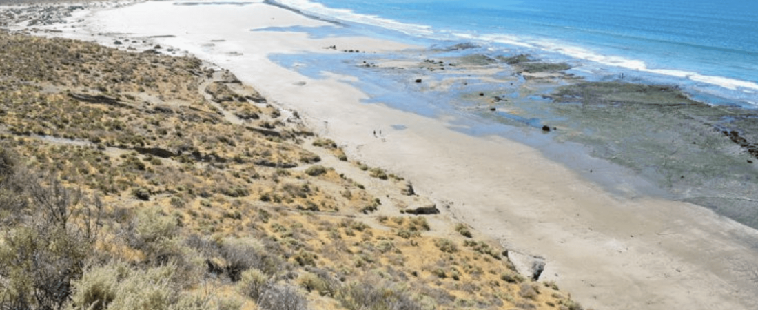 Playa Belvedere vegetación, restos arqueológicos y una reserva natural imperdible para conocer en la Patagonia argentina