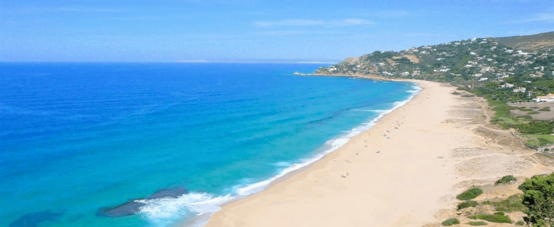 Polémica en España ante la fumigación de playas con lavandina, altamente perjudicial para la flora y fauna 7