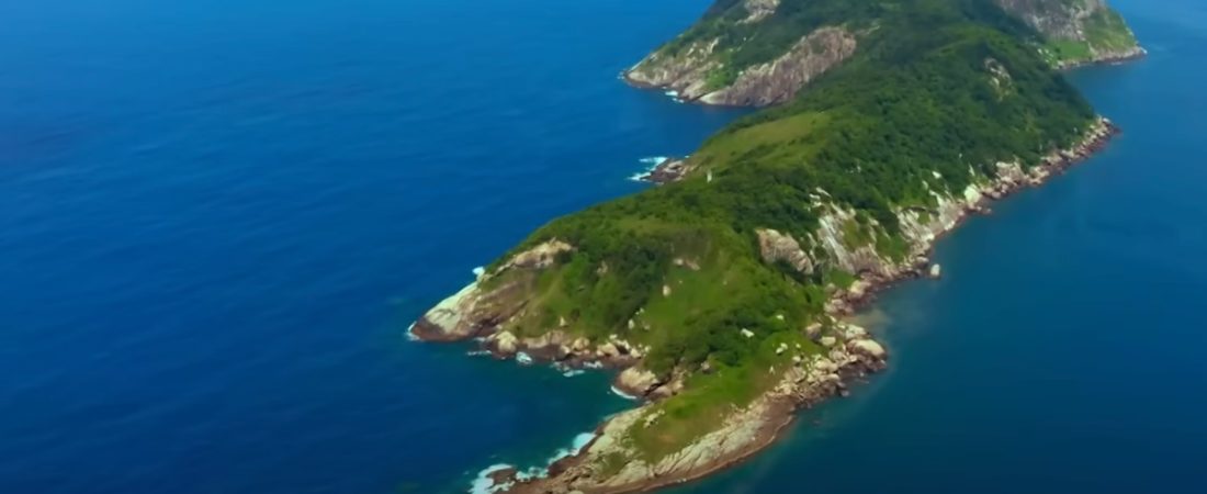 Por-que-esta-prohibido-visitar-la-isla-con-las-serpientes-mas-mortales-intriper.jpg