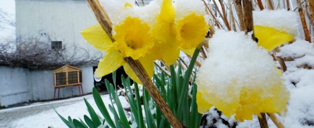 Pronostico-de-tormenta-del-viernes-nieve-y-efectos-en-los-viajes-intriper.jpg