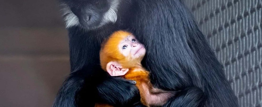 _Q46hh1Lc_2000x1500__1