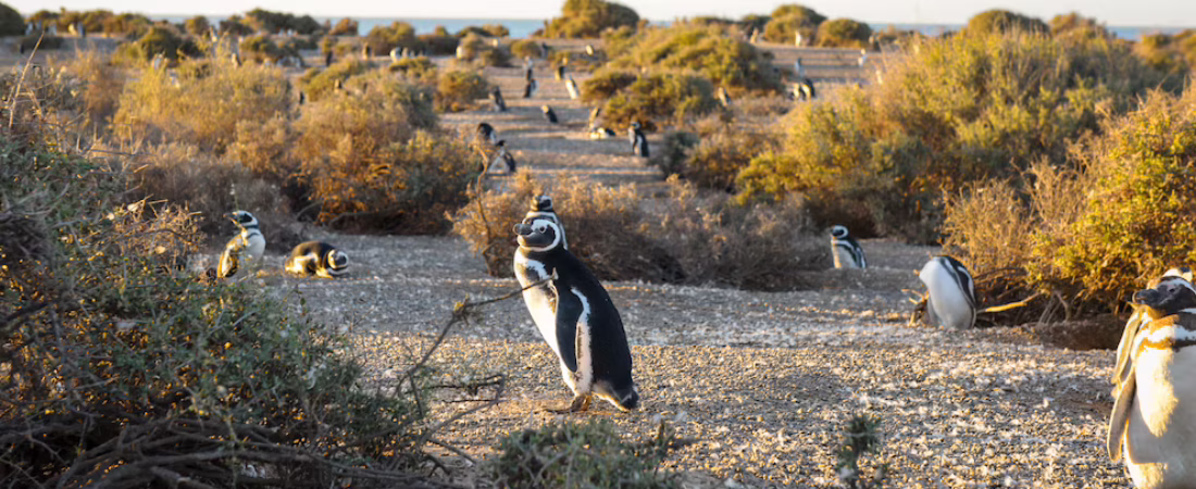 QTSNOOMZFNDADOO6Z6RPHPBPK4