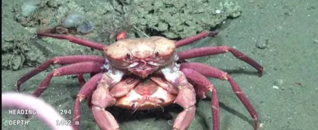 QZUVQUMZLFFGBJ5U6ZSUGU3QVQ