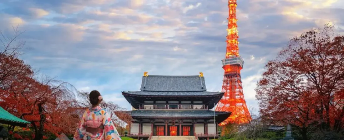 Que-hacer-en-Tokio-en-un-primer-viaje-a-Japon