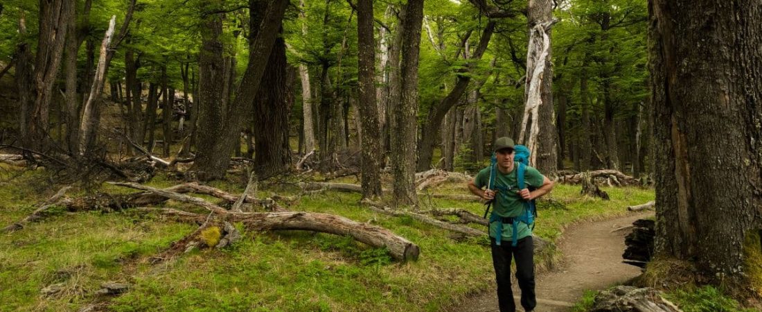 Qué son y dónde encontrar Baños de bosque la tendencia wellness que nace en Japón y pisa fuerte en Argentina-1