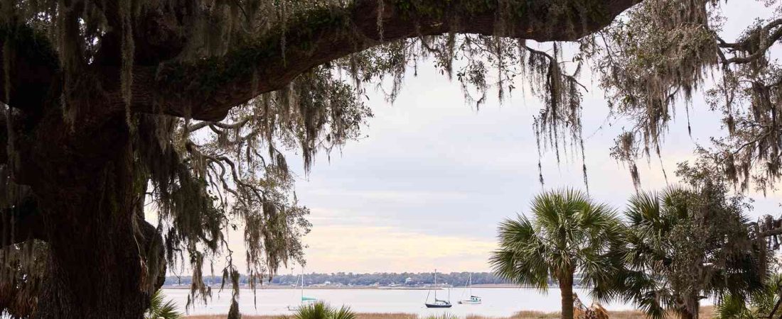 Que-ver-en-Lowcountry-Carolina-del-Sur-historia-y-naturaleza-coastal-intriper.jpg