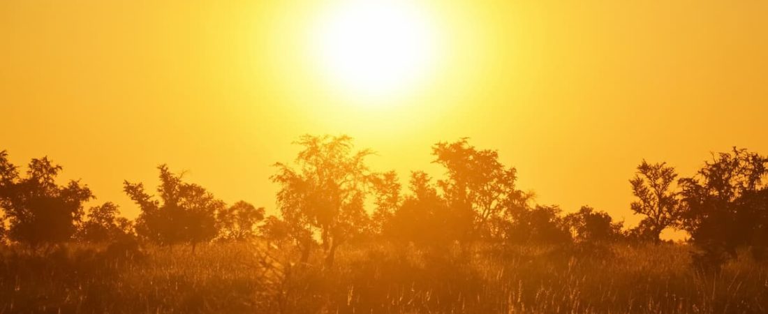 Australia tuvo su día más caluroso de los últimos 50 años, con una temperatura de más de 50° C