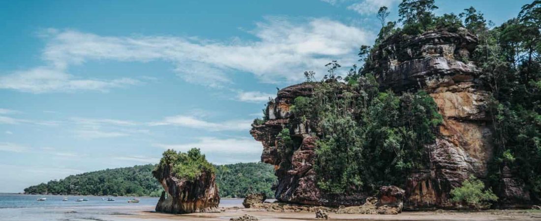 Recorre el Parque Nacional Bako selva tropical, manglares y mar en uno de los parques nacionales más lindos de Malasia 5