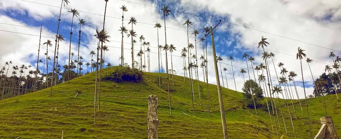 Región-Andes-Occidentales-Colombianos