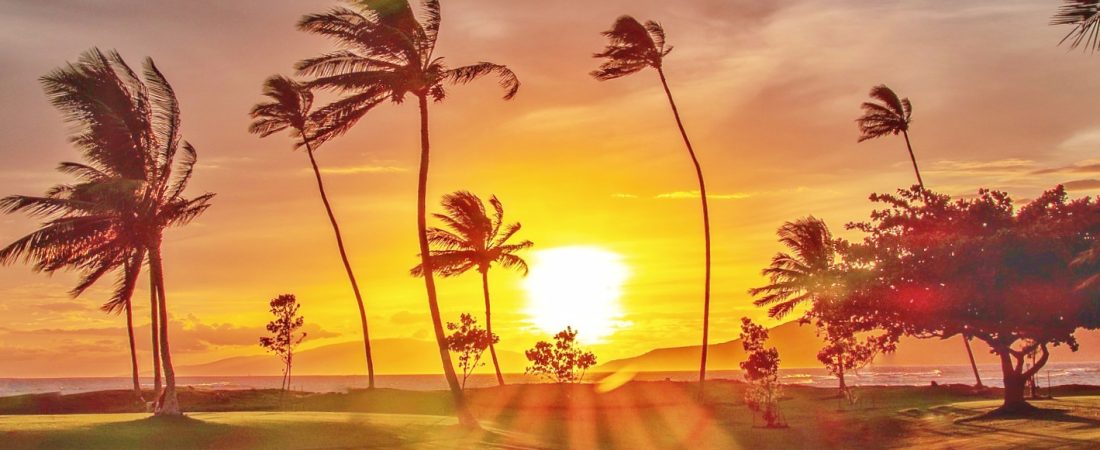 Repunte-inesperado-en-viajes-a-Hawai-impulsa-sector-aereo-intriper.jpg
