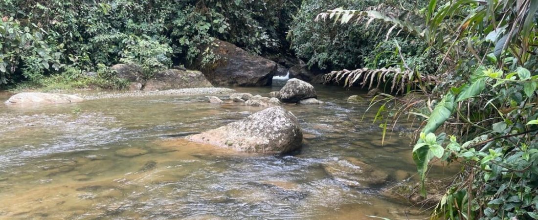 Rio-Pachijal-1200x800