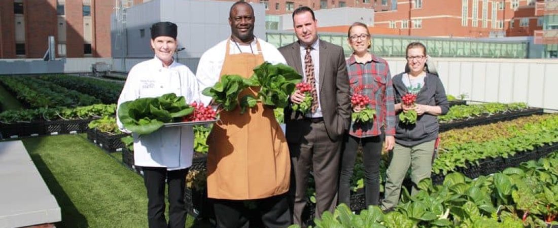 Rooftop-Farm-Slider