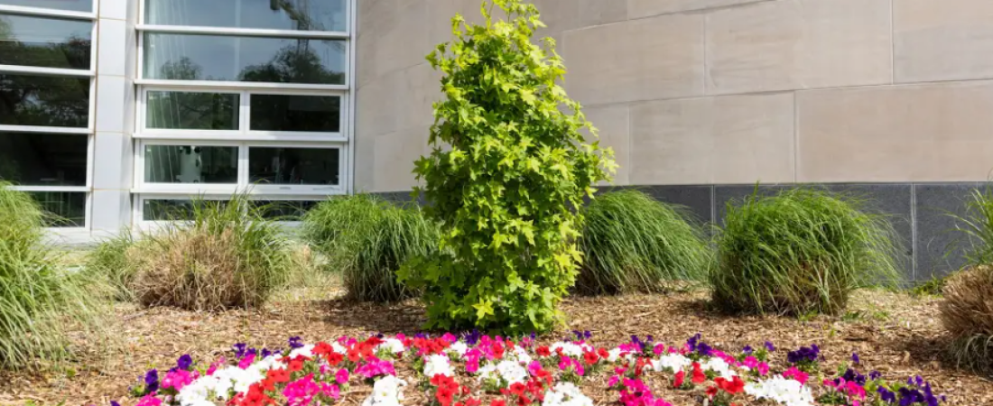 SCLZIFVXGRD25KOLLU2OUPDDJ4