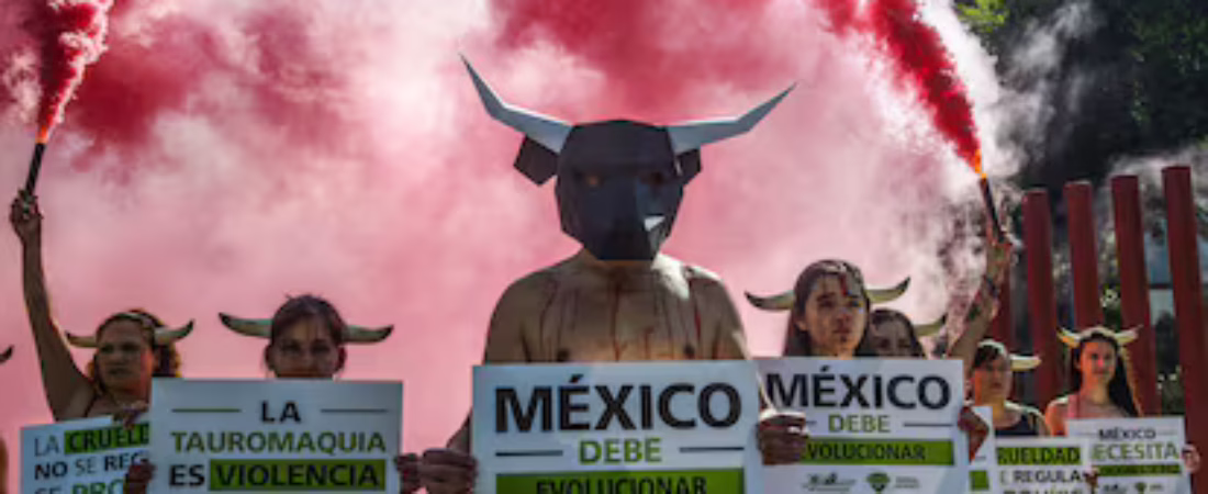 SJBGTMLXNFCBDCRS2QXOOS22O4