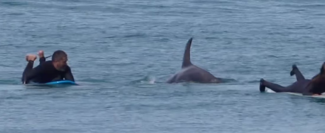 SSHUOH2YZ5APZAAVXKQYNSJSS4