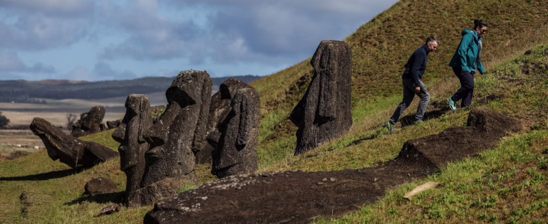 SWFOFYDULD6QE62OMZMAFA5YH4