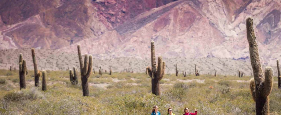 Salta-Marzo