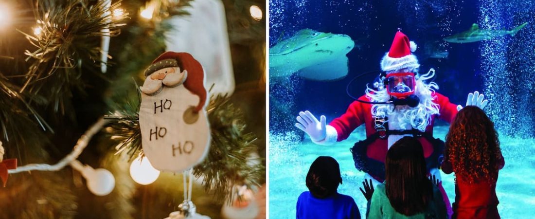 Este acuario de Kentucky, Estados Unidos, celebra navidad con un Santa que bucea