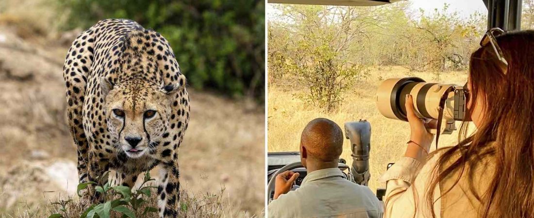 Secretos-de-un-fotografo-profesional-para-capturar-safaris-perfectos-intriper.jpg